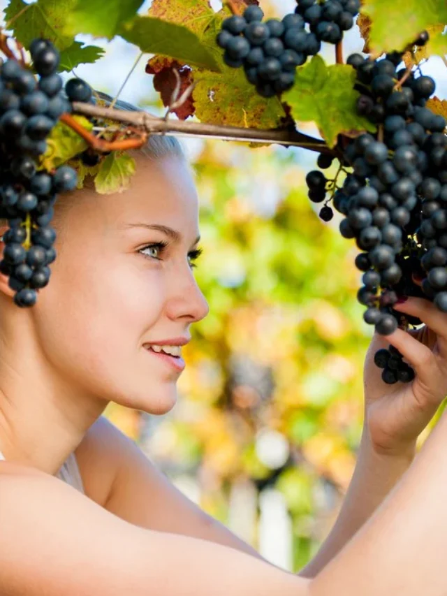 The Role of Grape Seeds in Brain Health and Cognitive Function
